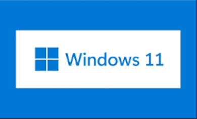 Windows 11