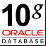 Descarga Oracle 10g Express XE Client para Windows