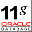 Oracle Client 11g R2 para Windows